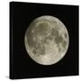 Full Moon-Eckhard Slawik-Stretched Canvas