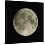 Full Moon-Eckhard Slawik-Stretched Canvas