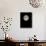 Full Moon-Eckhard Slawik-Stretched Canvas displayed on a wall