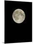 Full Moon-Eckhard Slawik-Mounted Premium Photographic Print