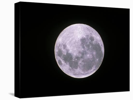 Full Moon-John Sanford-Stretched Canvas