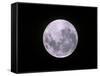 Full Moon-John Sanford-Framed Stretched Canvas