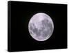 Full Moon-John Sanford-Framed Stretched Canvas