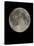 Full Moon-Eckhard Slawik-Stretched Canvas