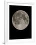 Full Moon-Eckhard Slawik-Framed Premium Photographic Print