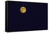 Full Moon-Gary Carter-Framed Stretched Canvas