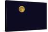 Full Moon-Gary Carter-Stretched Canvas