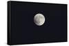 Full Moon-DLILLC-Framed Stretched Canvas