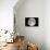 Full Moon-Laurent Laveder-Photographic Print displayed on a wall