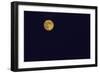 Full Moon-Gary Carter-Framed Photographic Print