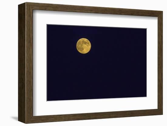 Full Moon-Gary Carter-Framed Photographic Print