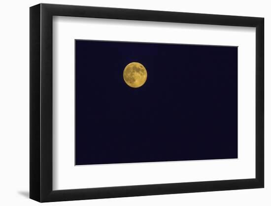 Full Moon-Gary Carter-Framed Photographic Print