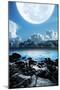 Full Moon-MO SES-Mounted Photographic Print