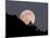Full Moon-null-Mounted Photographic Print