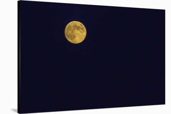 Full Moon-Gary Carter-Stretched Canvas