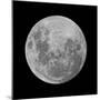 Full Moon-null-Mounted Photographic Print
