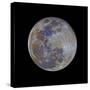 Full Moon-null-Stretched Canvas