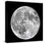 Full Moon-John Sanford-Stretched Canvas