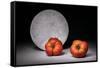 Full moon-Christophe Verot-Framed Stretched Canvas