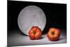 Full moon-Christophe Verot-Mounted Photographic Print