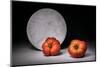 Full moon-Christophe Verot-Mounted Photographic Print