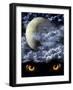 Full Moon-frenta-Framed Art Print