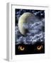 Full Moon-frenta-Framed Art Print