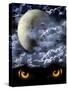 Full Moon-frenta-Stretched Canvas