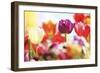 Full Of Colors-Incredi-Framed Giclee Print