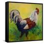 Full Of Himself Rooster-Marion Rose-Framed Stretched Canvas