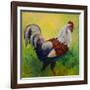 Full Of Himself Rooster-Marion Rose-Framed Giclee Print