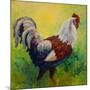 Full Of Himself Rooster-Marion Rose-Mounted Giclee Print