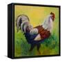 Full Of Himself Rooster-Marion Rose-Framed Stretched Canvas