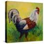 Full Of Himself Rooster-Marion Rose-Stretched Canvas