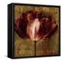 Full of Life I-Linda Thompson-Framed Stretched Canvas