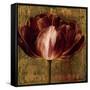 Full of Life I-Linda Thompson-Framed Stretched Canvas