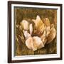 Full of Life II-Linda Thompson-Framed Art Print