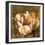 Full of Life II-Linda Thompson-Framed Art Print