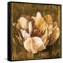 Full of Life II-Linda Thompson-Framed Stretched Canvas