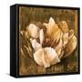 Full of Life II-Linda Thompson-Framed Stretched Canvas