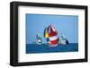 Full Sail Ahead-null-Framed Art Print