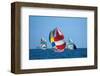 Full Sail Ahead-null-Framed Art Print