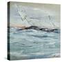Full Sail II-Farrell Douglass-Stretched Canvas