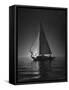 Full Sails During a Night Sailboat Race, with the Sun Peeking over the Horizon-Cornell Capa-Framed Stretched Canvas