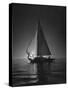 Full Sails During a Night Sailboat Race, with the Sun Peeking over the Horizon-Cornell Capa-Stretched Canvas