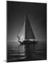 Full Sails During a Night Sailboat Race, with the Sun Peeking over the Horizon-Cornell Capa-Mounted Photographic Print