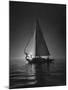 Full Sails During a Night Sailboat Race, with the Sun Peeking over the Horizon-Cornell Capa-Mounted Photographic Print