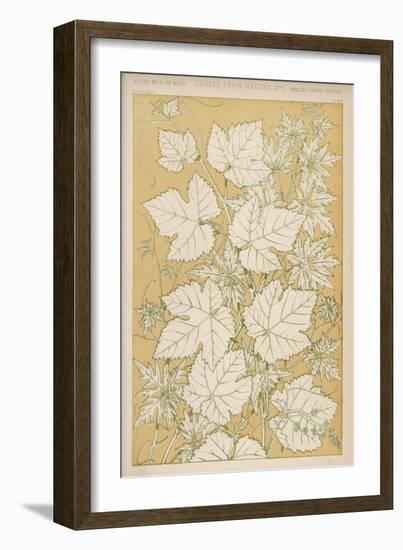 Full-Sized Vine Leaves Traced from Nature-null-Framed Art Print