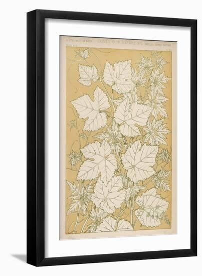 Full-Sized Vine Leaves Traced from Nature-null-Framed Art Print