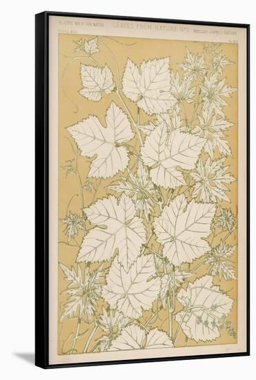 Full-Sized Vine Leaves Traced from Nature-null-Framed Stretched Canvas